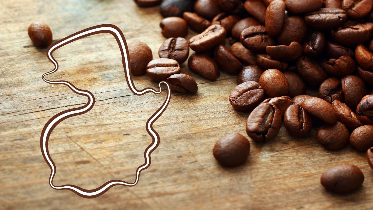 Mejores granos de café en Guatemala