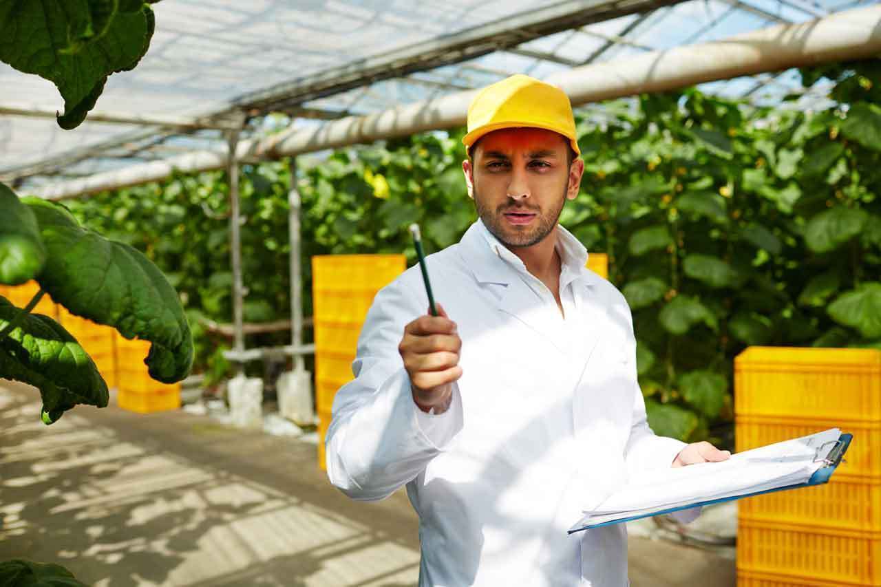 Innovación y sostenibilidad en el desarrollo agroindustrial