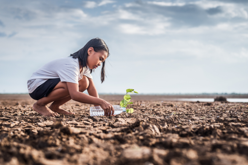 El cambio climático El cambio climático