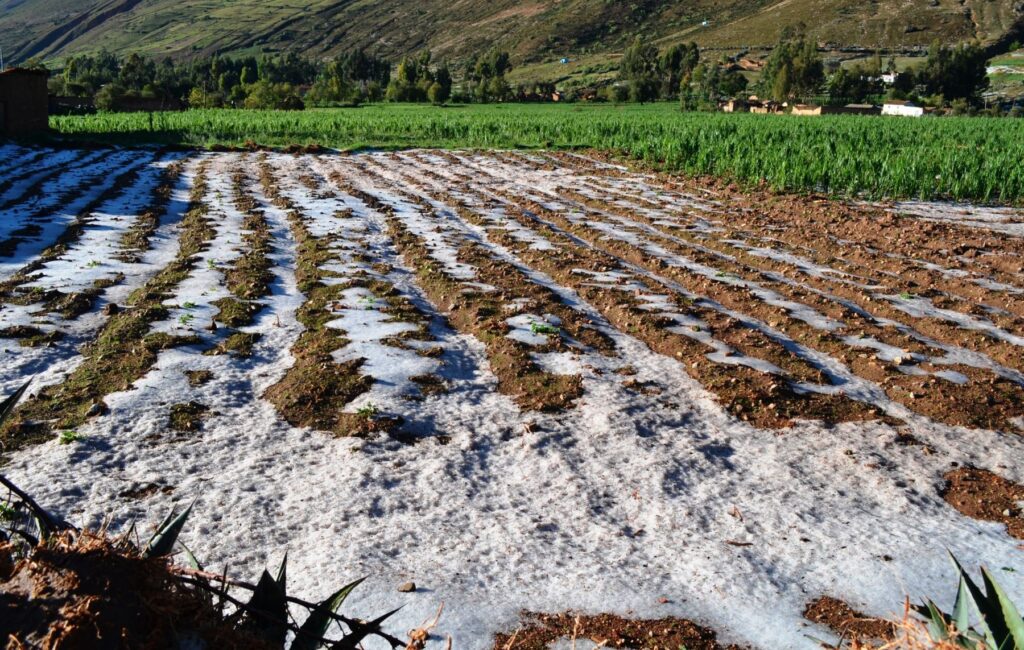 agricultura en invierno