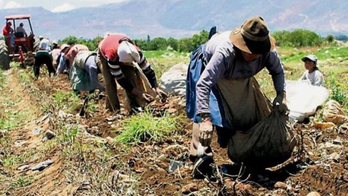 agricultura en invierno