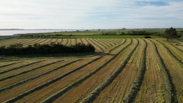 prácticas agrícolas