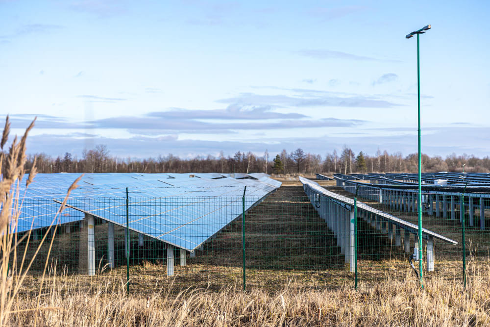 Paneles solares en campo