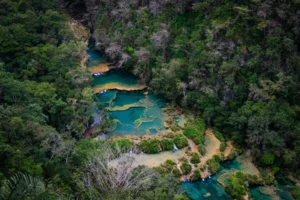 Selva Guatemalteca