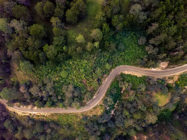Selva Guatemalteca zona arqueológica