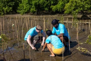 protegen la biodiversidad con bancos de semillas